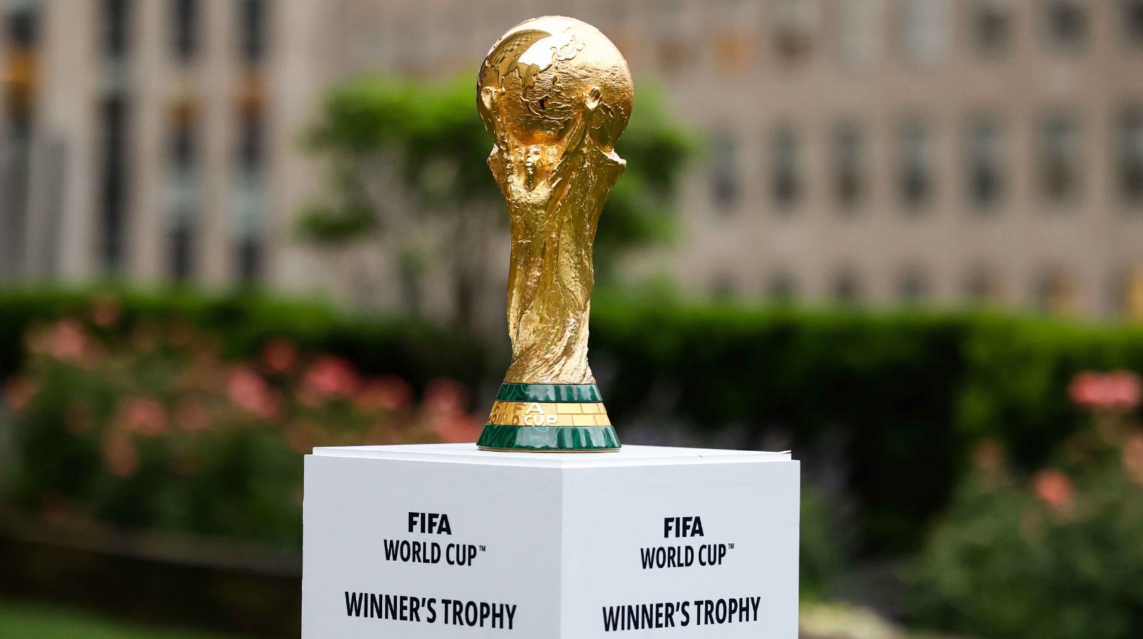 FIFA World Cup Betting Odds Ghana